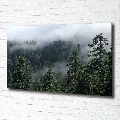 Tableau photo sur toile Brume de forêt