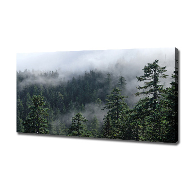 Tableau photo sur toile Brume de forêt