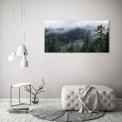 Tableau photo sur toile Brume de forêt