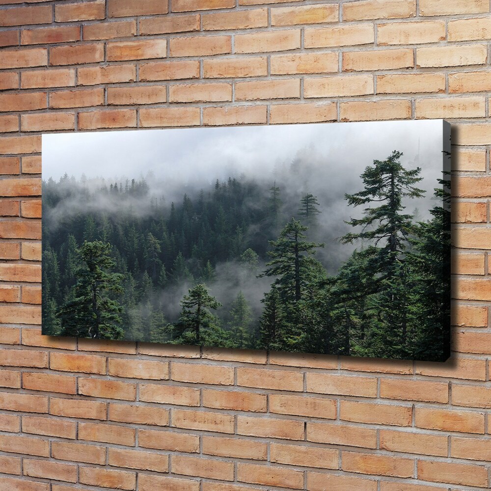 Tableau photo sur toile Brume de forêt