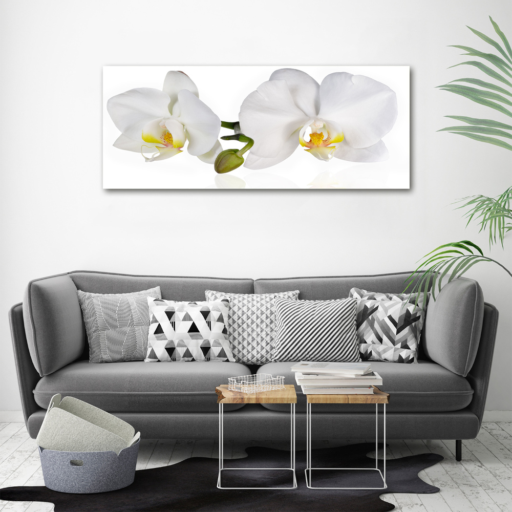 Tableau toile imprimée Orchidée plante