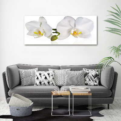 Tableau toile imprimée Orchidée plante