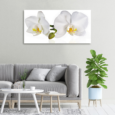 Tableau toile imprimée Orchidée plante