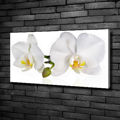 Tableau toile imprimée Orchidée plante