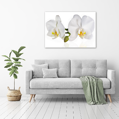 Tableau toile imprimée Orchidée plante