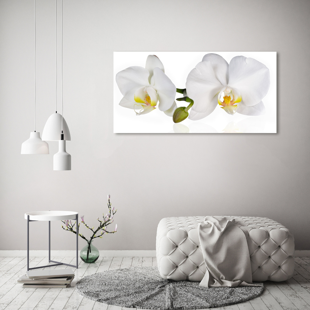 Tableau toile imprimée Orchidée plante