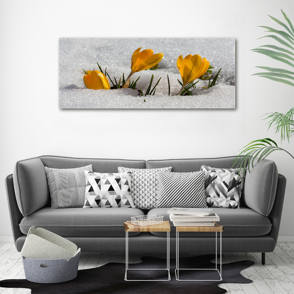 Tableau mural sur toile Crocus dans la neige