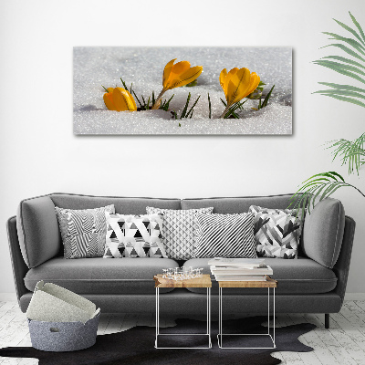 Tableau mural sur toile Crocus dans la neige