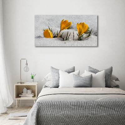 Tableau mural sur toile Crocus dans la neige