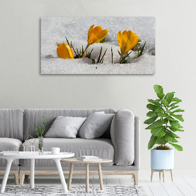 Tableau mural sur toile Crocus dans la neige