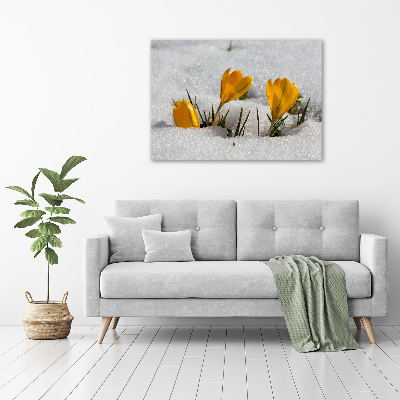 Tableau mural sur toile Crocus dans la neige