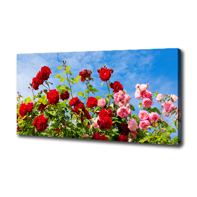 Tableau imprimé sur toile Roses sauvages