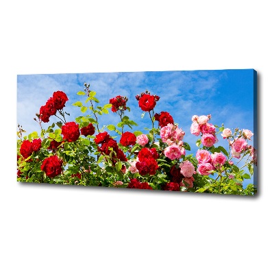 Tableau imprimé sur toile Roses sauvages