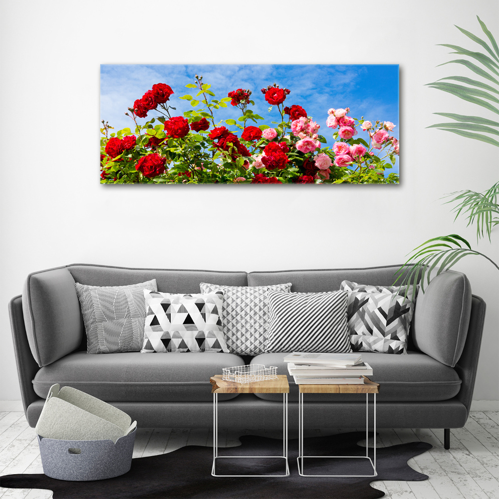 Tableau imprimé sur toile Roses sauvages