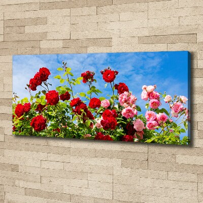 Tableau imprimé sur toile Roses sauvages