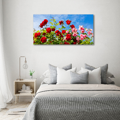 Tableau imprimé sur toile Roses sauvages