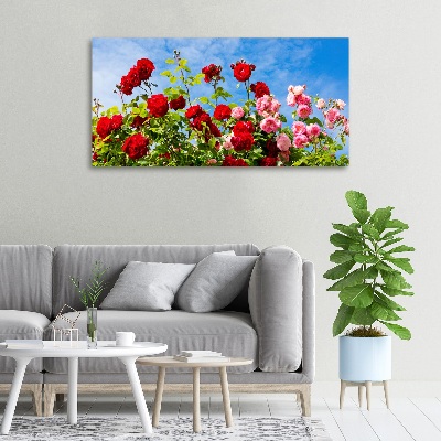 Tableau imprimé sur toile Roses sauvages