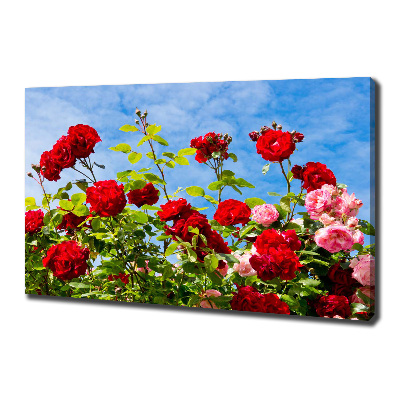 Tableau imprimé sur toile Roses sauvages