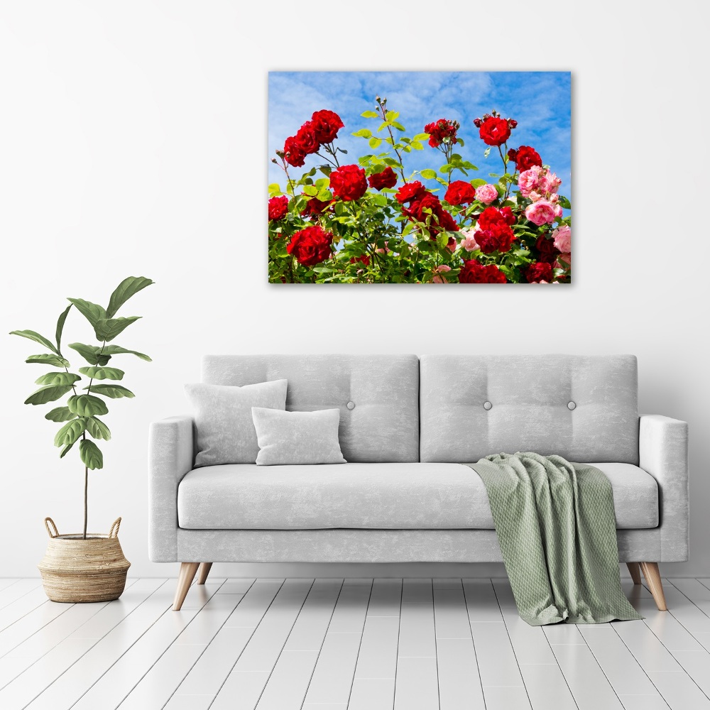 Tableau imprimé sur toile Roses sauvages