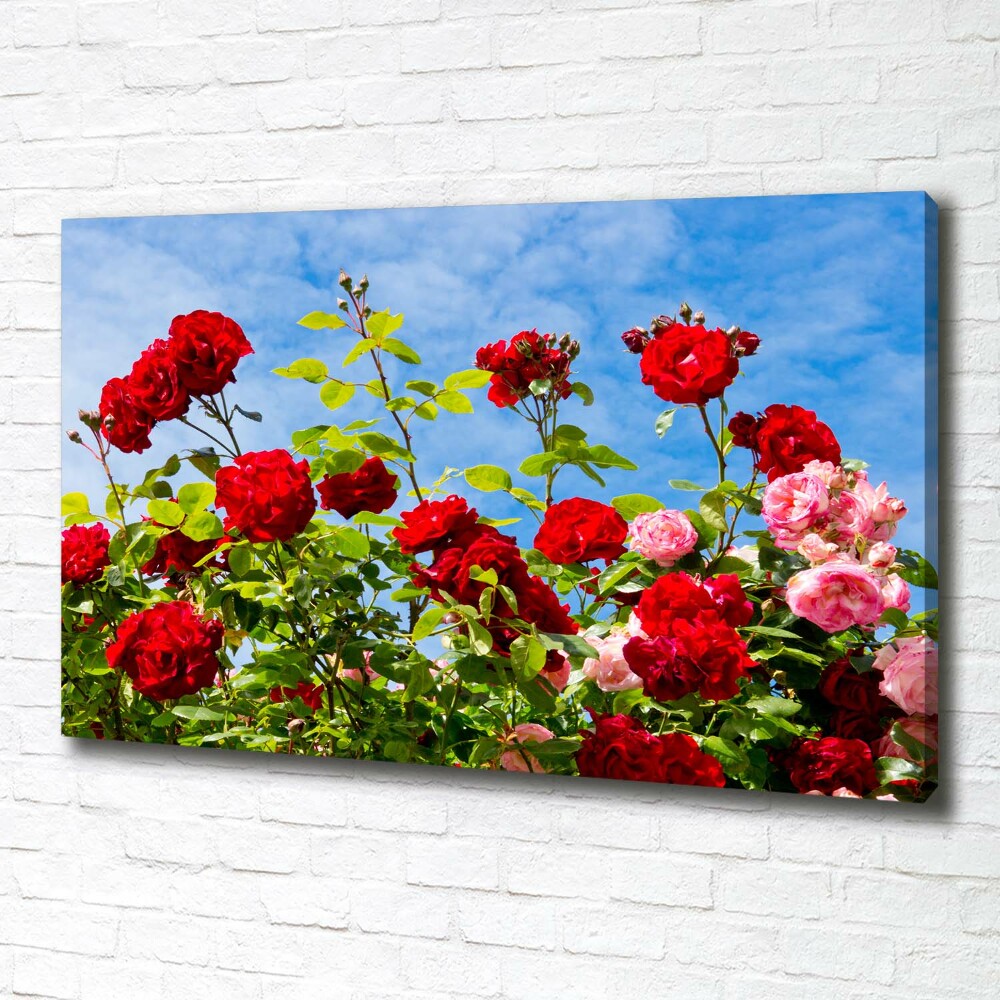 Tableau imprimé sur toile Roses sauvages