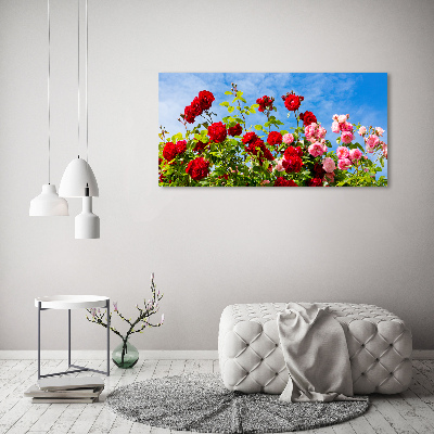 Tableau imprimé sur toile Roses sauvages