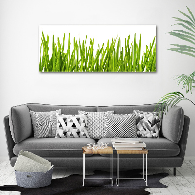 Tableau imprimé sur toile L'herbe