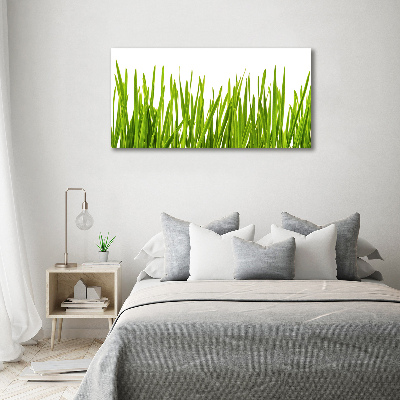 Tableau imprimé sur toile L'herbe