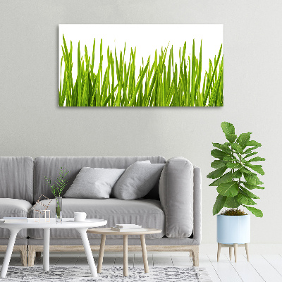 Tableau imprimé sur toile L'herbe