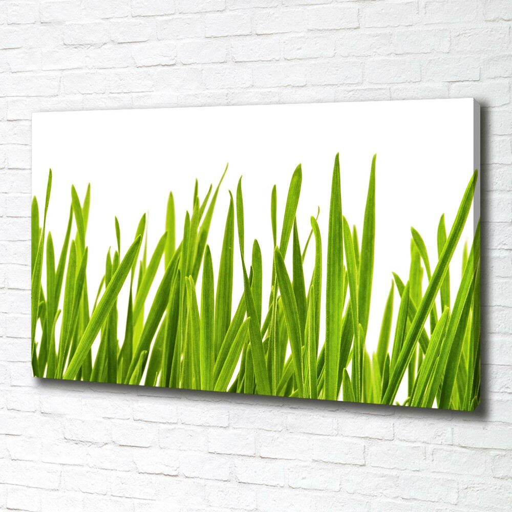 Tableau imprimé sur toile L'herbe