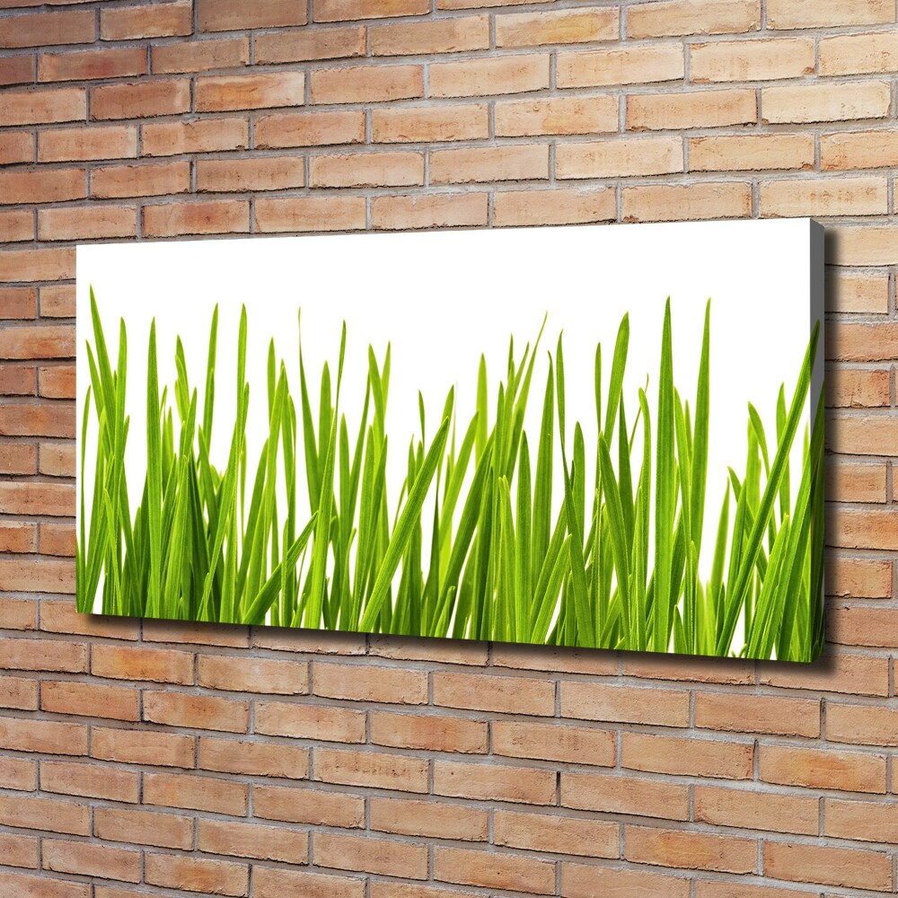 Tableau imprimé sur toile L'herbe