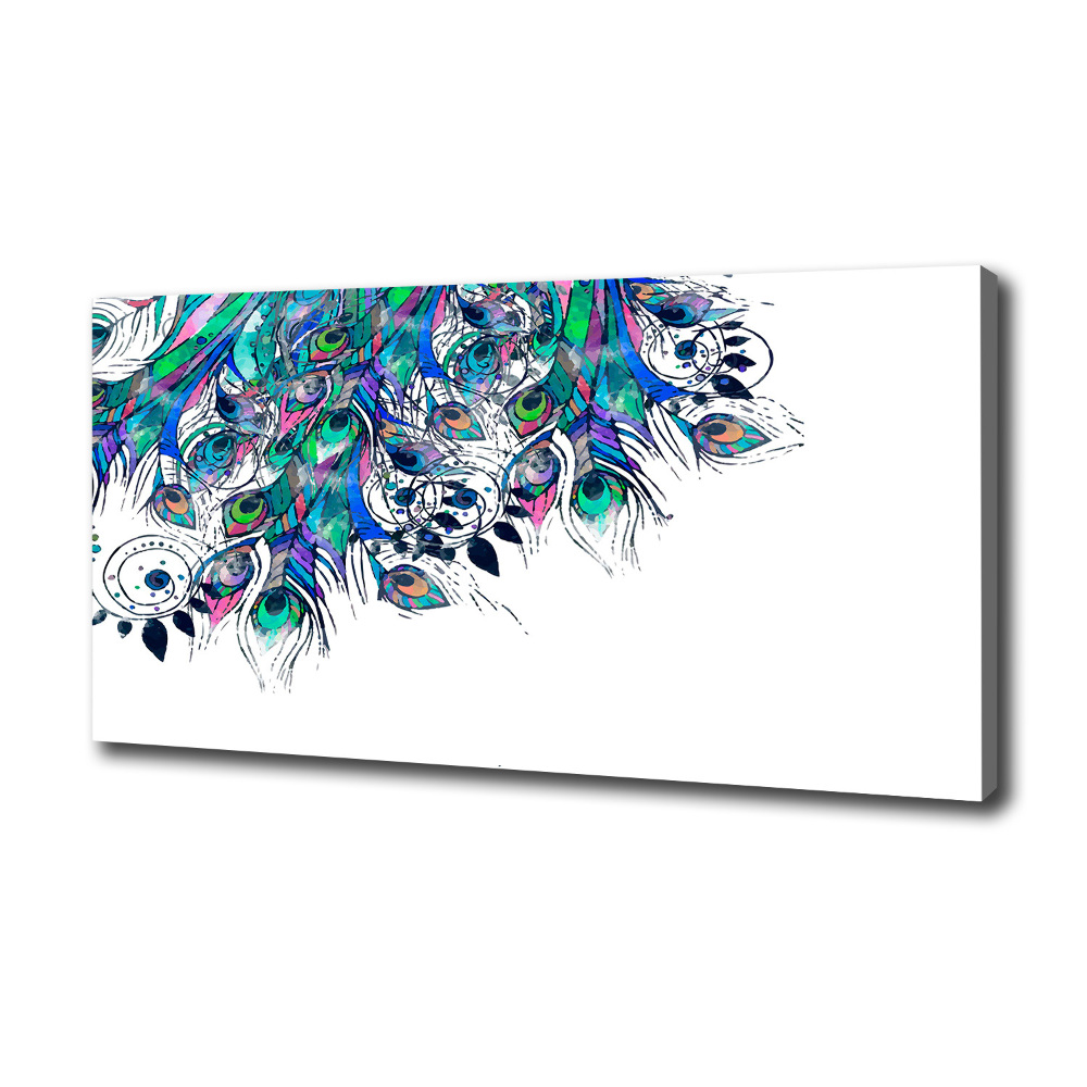 Tableau sur toile Plumes de paon