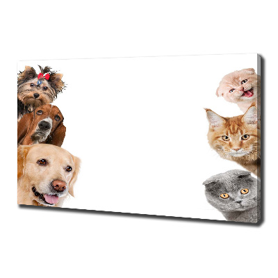 Tableau photo sur toile Chiens et chats