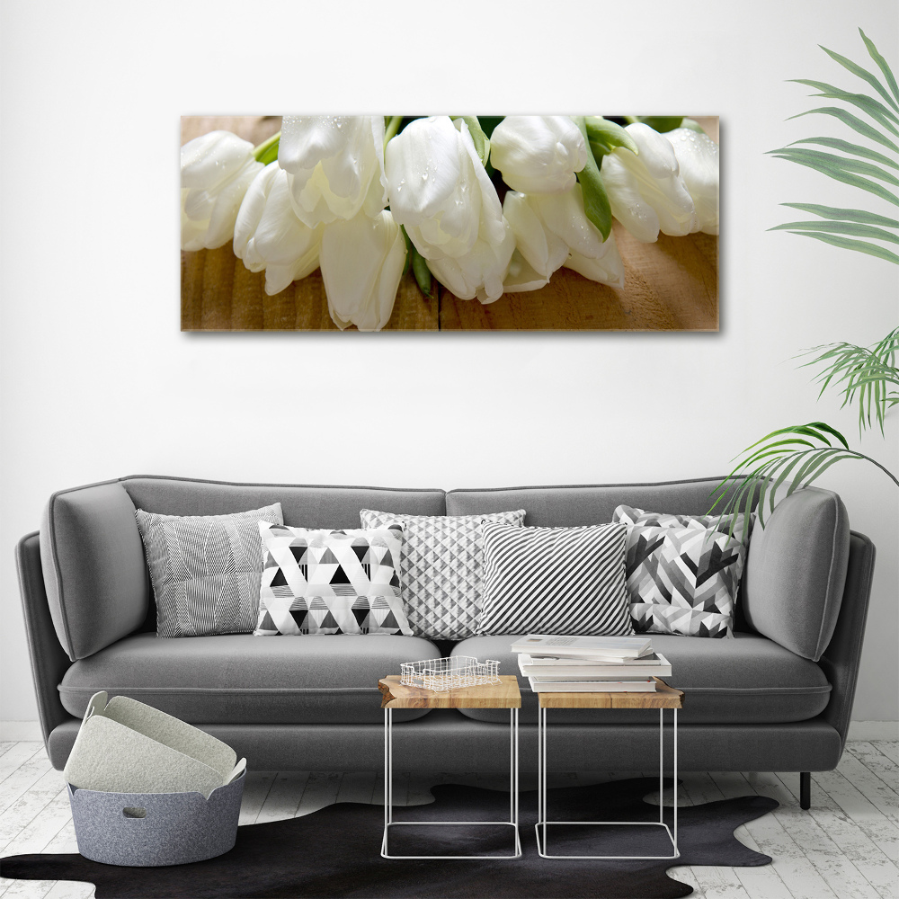 Tableau imprimé sur toile Tulipes blanches