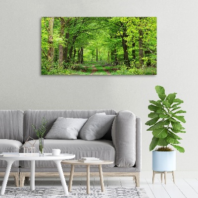 Tableau toile imprimée Forêt de printemps