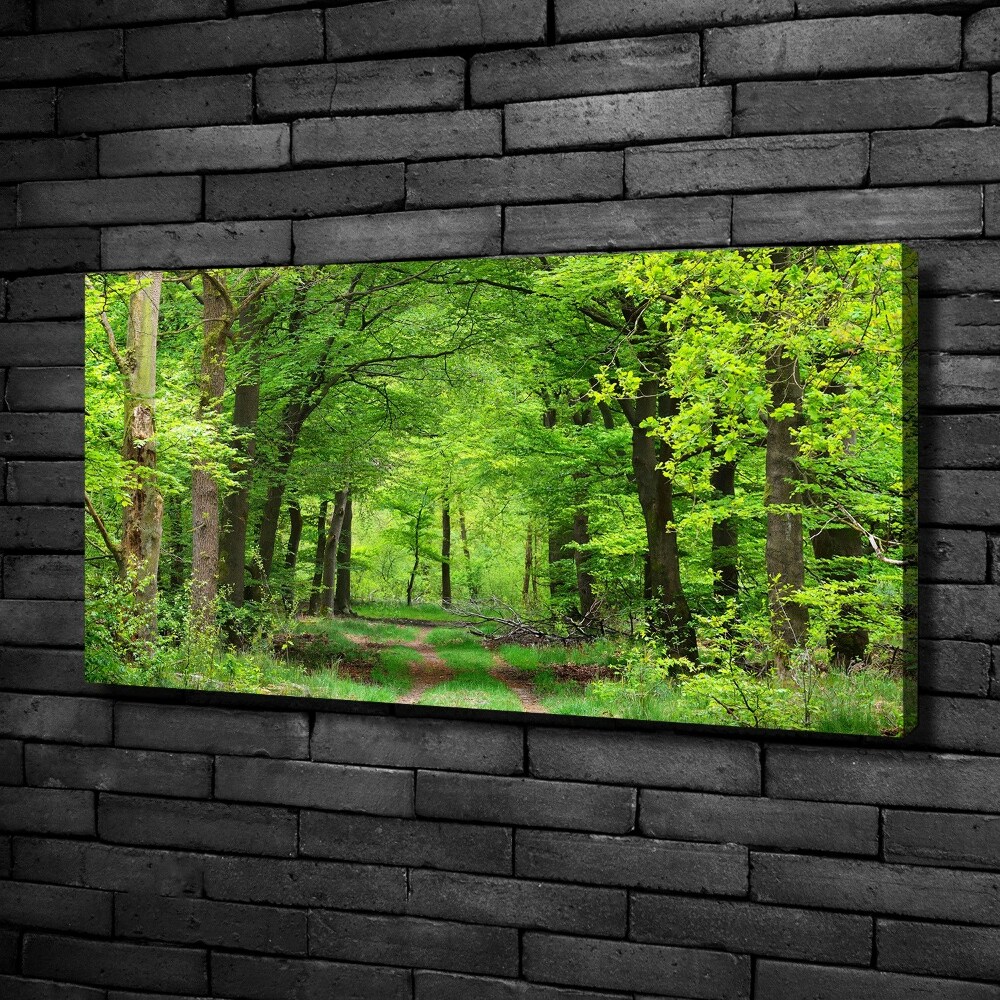 Tableau toile imprimée Forêt de printemps