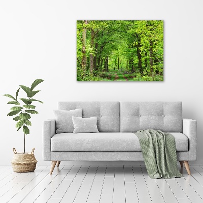 Tableau toile imprimée Forêt de printemps