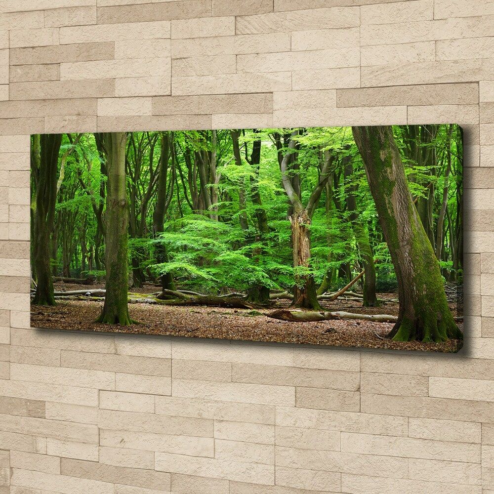 Tableau toile imprimée Forêt hollandaise