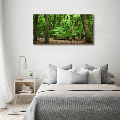 Tableau toile imprimée Forêt hollandaise