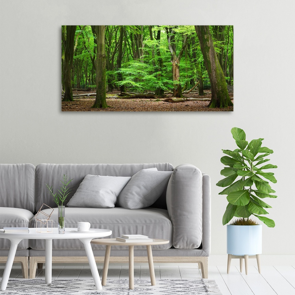 Tableau toile imprimée Forêt hollandaise