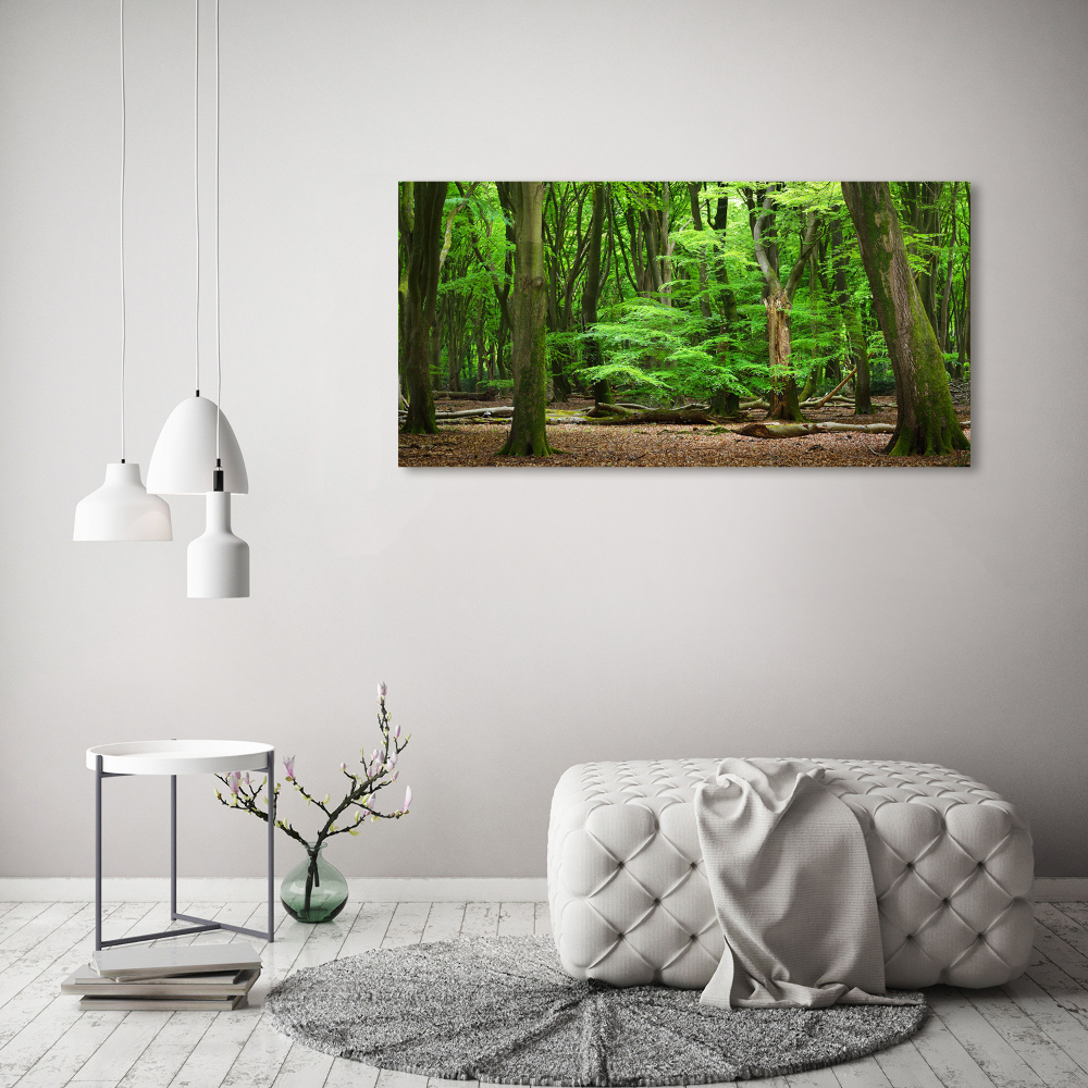 Tableau toile imprimée Forêt hollandaise