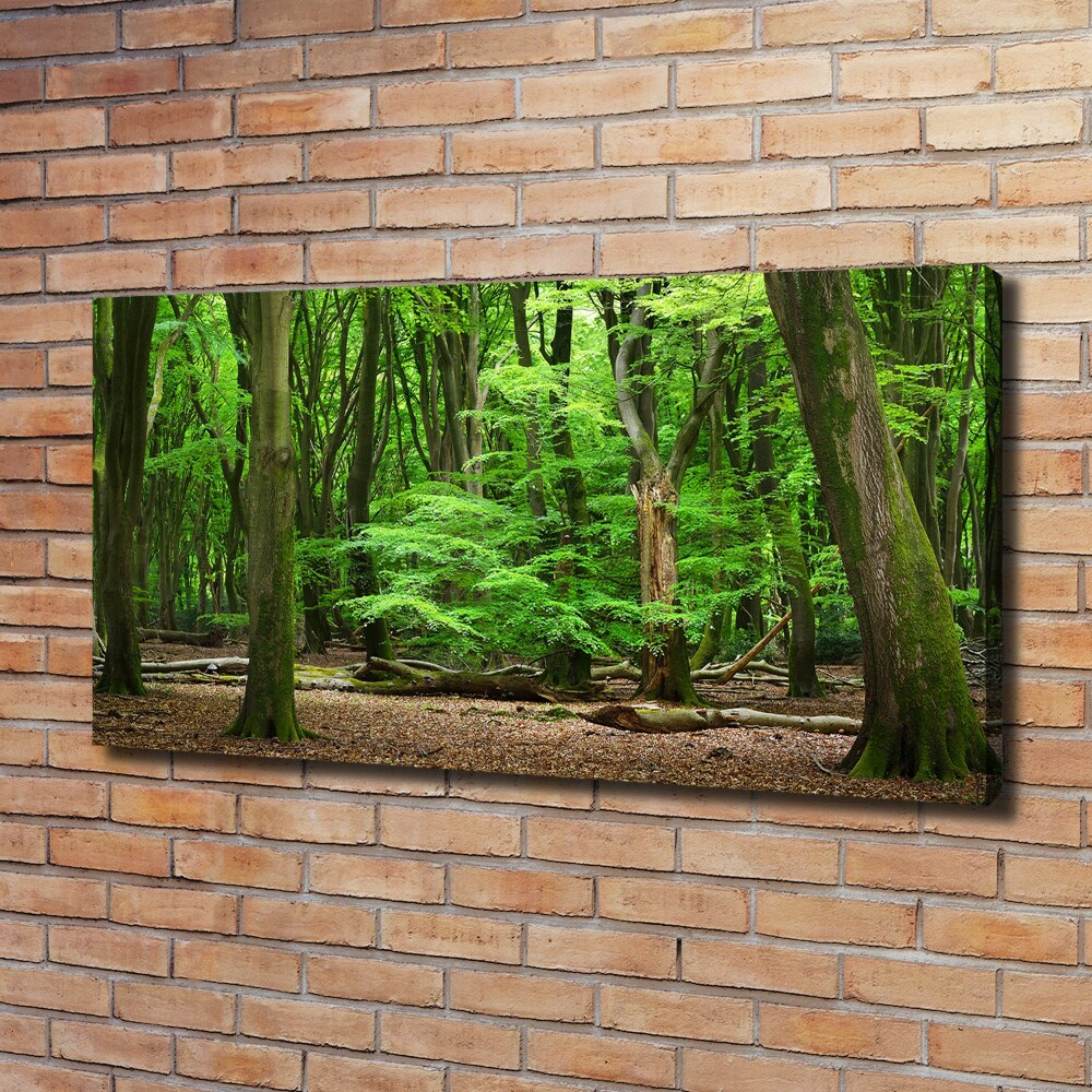 Tableau toile imprimée Forêt hollandaise