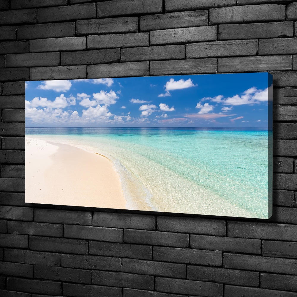 Tableau imprimé sur toile Plage aux Maldives