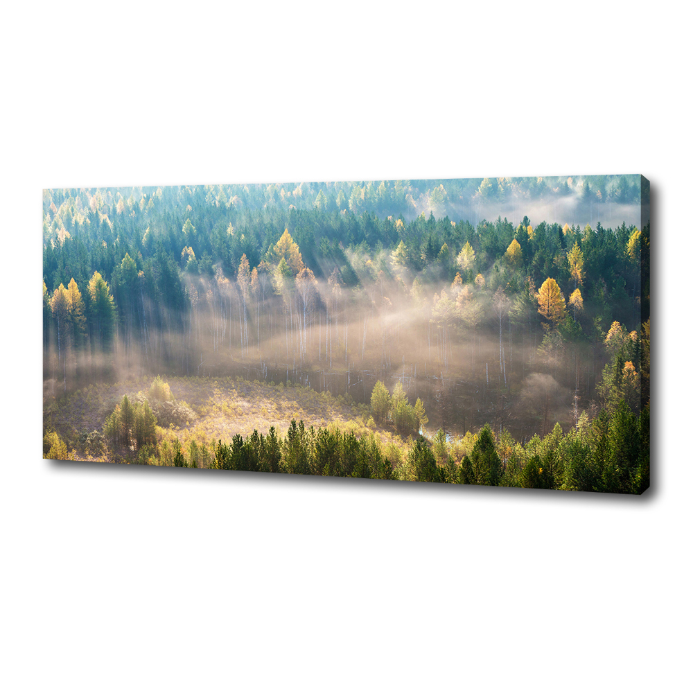 Tableau mural sur toile Le brouillard dans la forêt