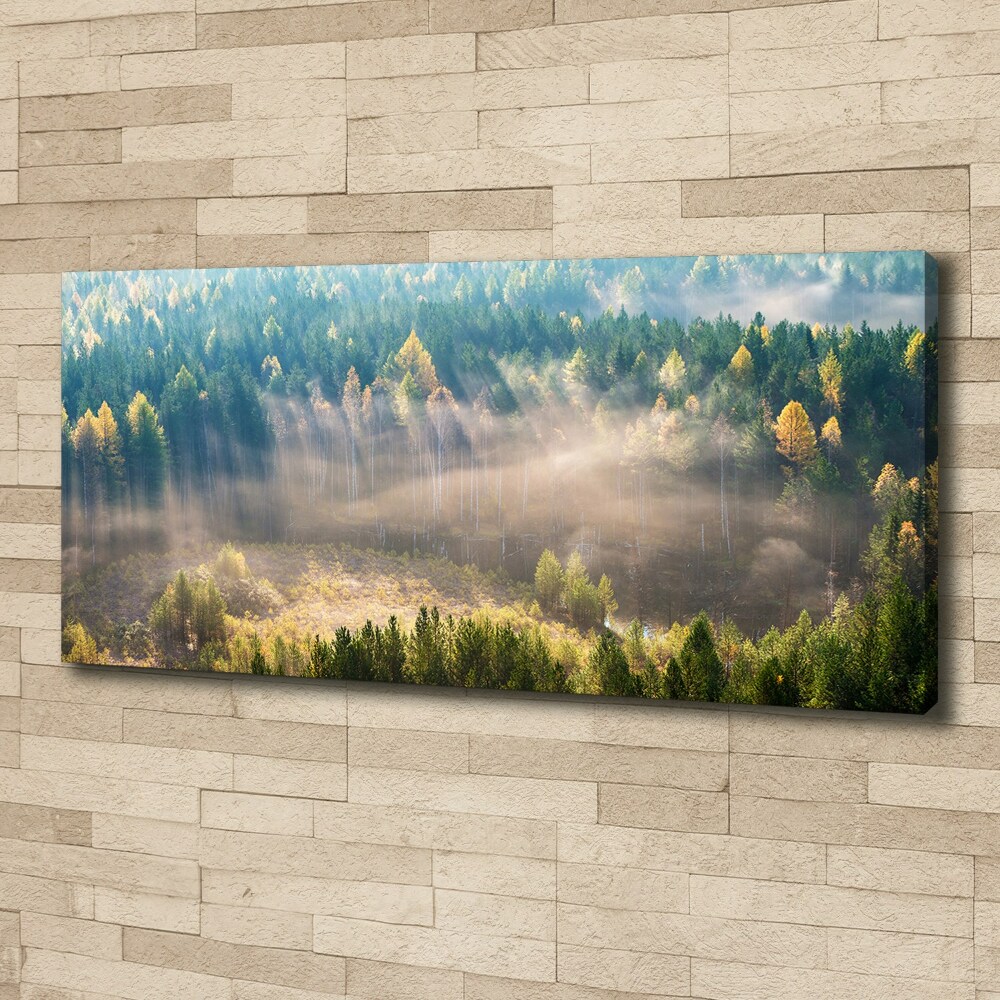 Tableau mural sur toile Le brouillard dans la forêt