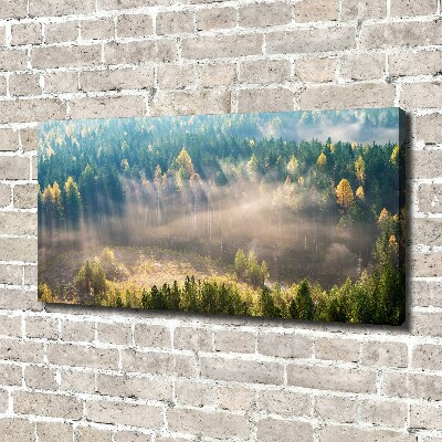 Tableau mural sur toile Le brouillard dans la forêt