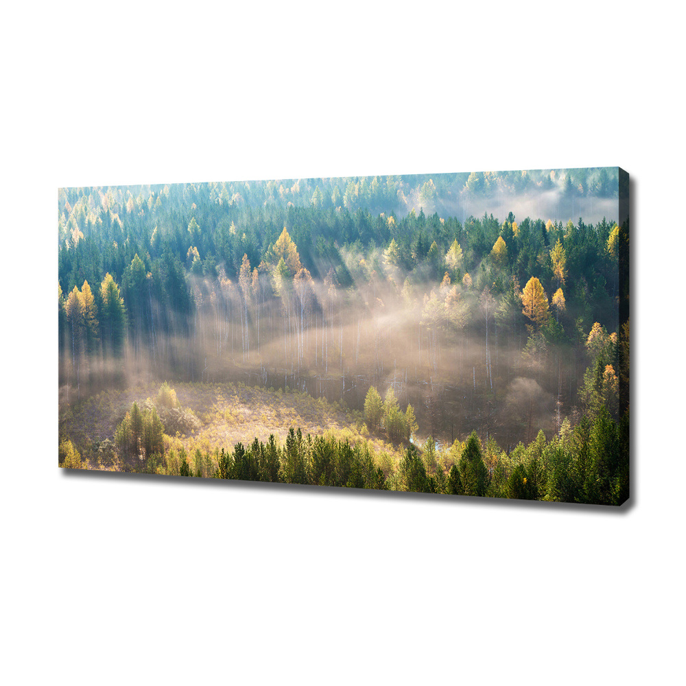 Tableau mural sur toile Le brouillard dans la forêt