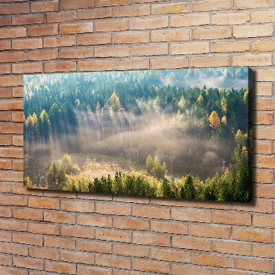 Tableau mural sur toile Le brouillard dans la forêt