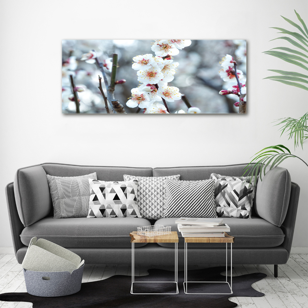 Tableau photo sur toile Fleurs de cerisier