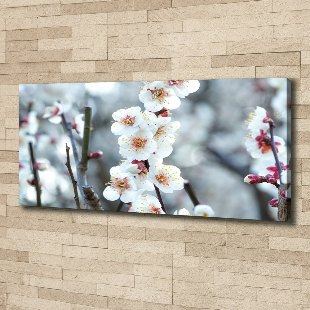 Tableau photo sur toile Fleurs de cerisier