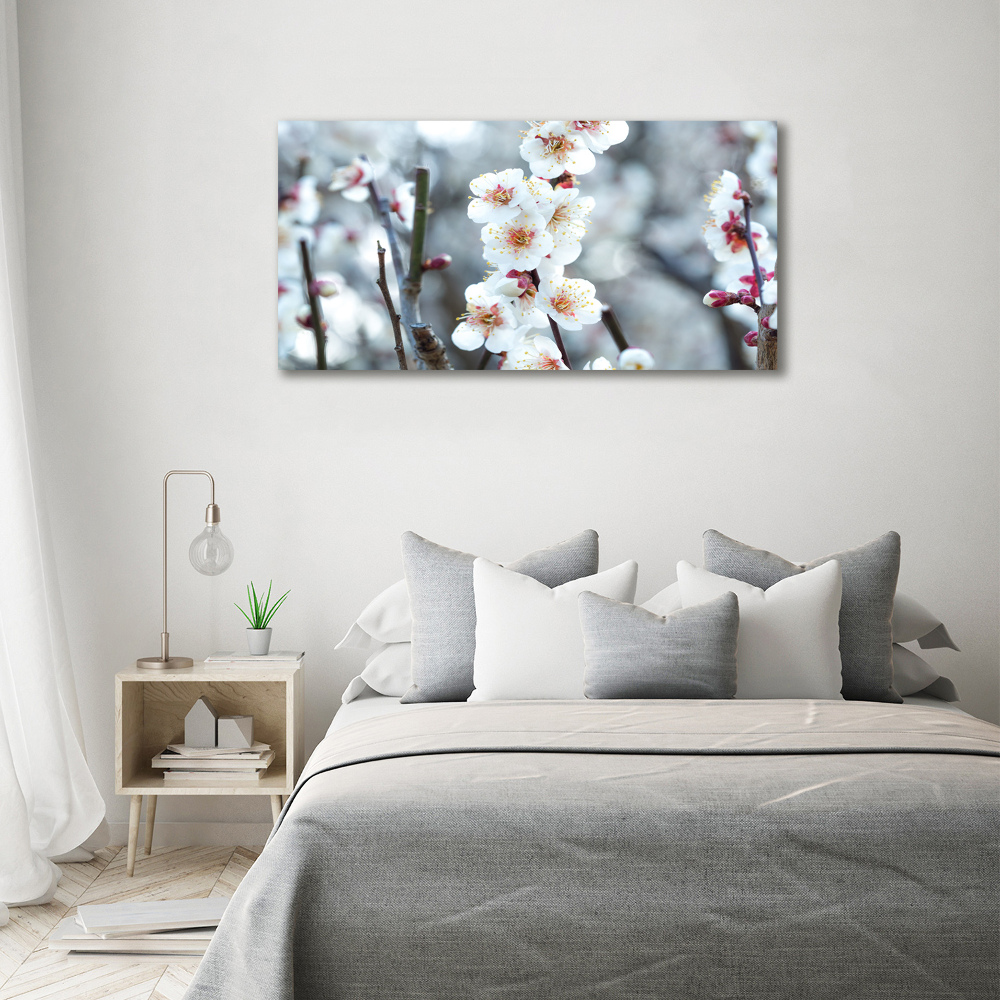 Tableau photo sur toile Fleurs de cerisier